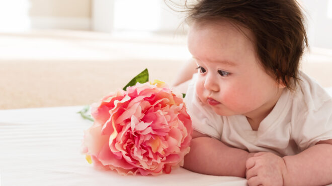 baby with a flower