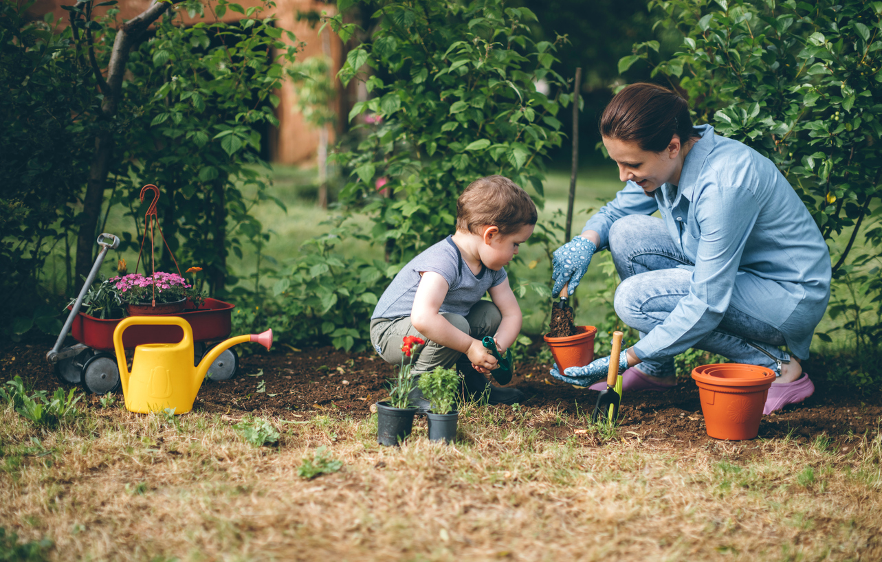 gardening