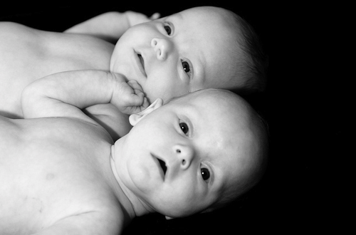 twin babies