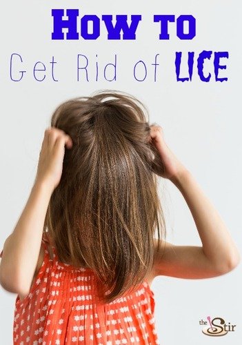 Super Lice Are Here  Here s How to Fight Them - 37