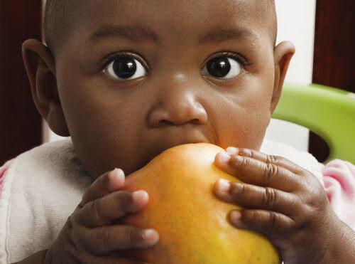 baby eating apple