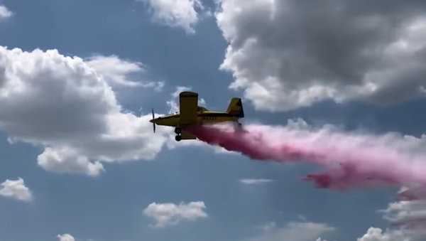 airplane gender reveal