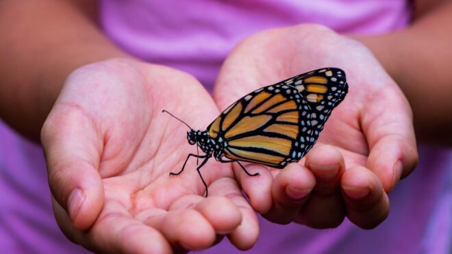 girl holding butterfly