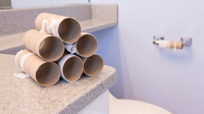 toilet paper rolls