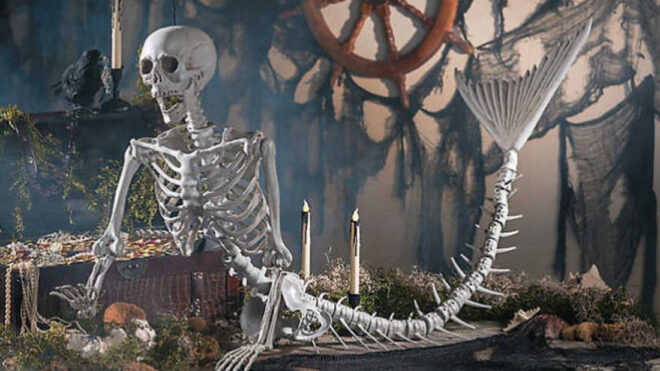 mermaid skeleton