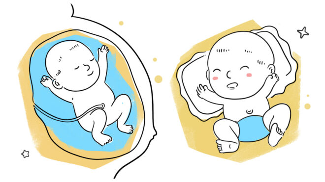 umbilical cord stump