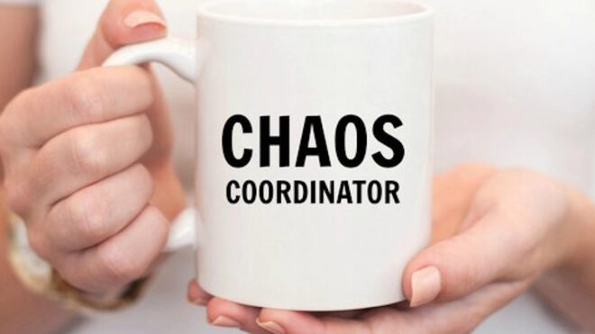 chaos coordinator mug