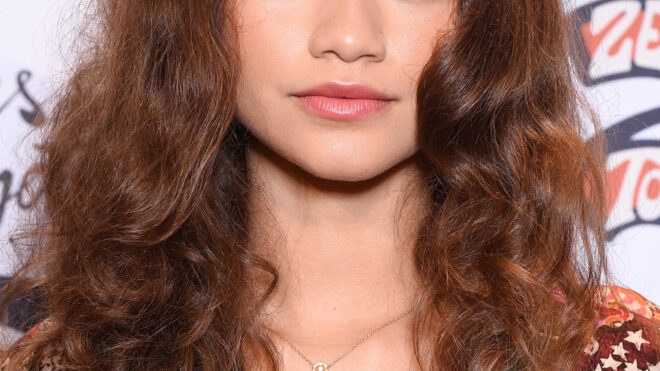 Zendaya X Tommy Hilfiger fashion collection.