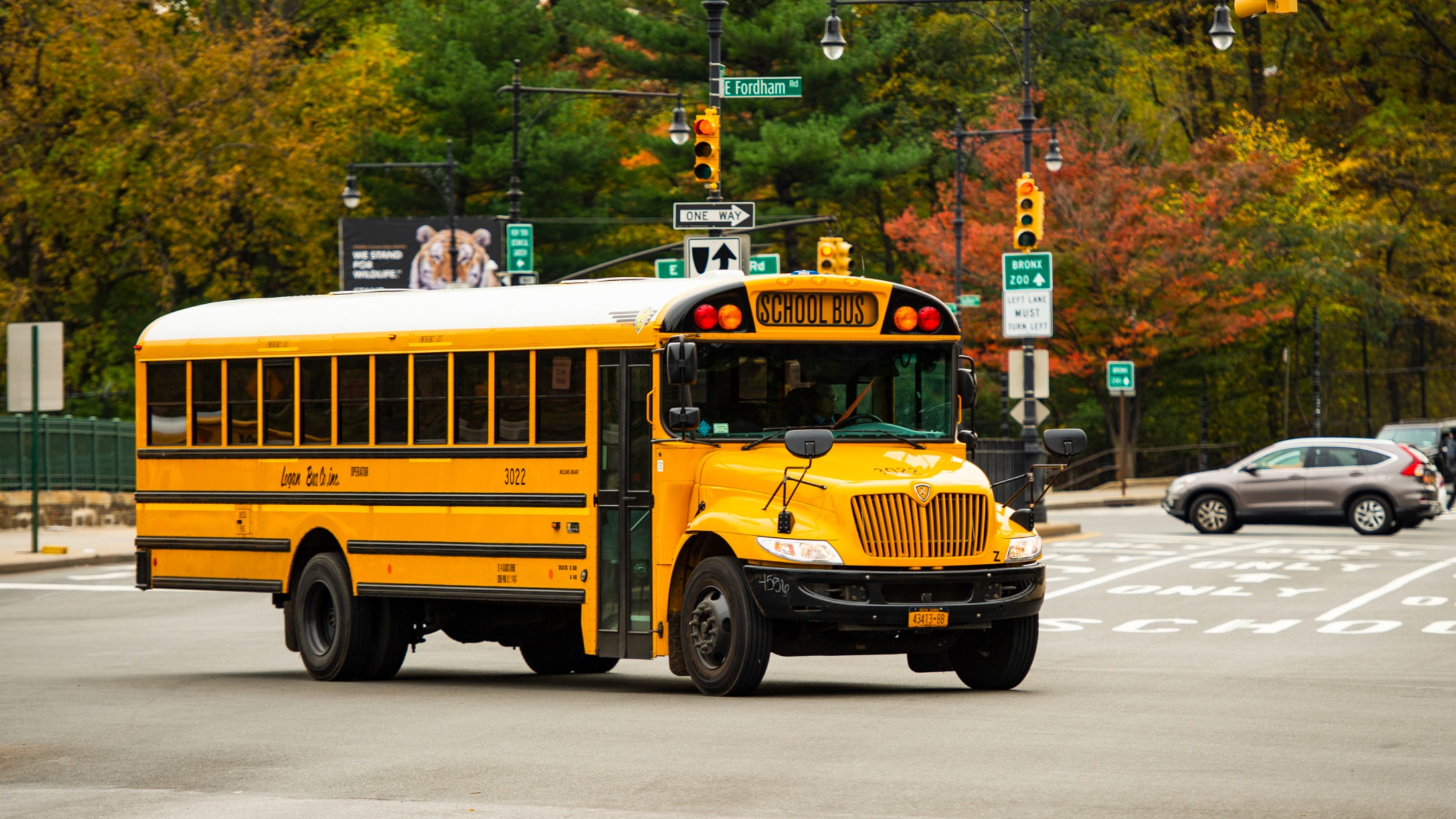 school bus