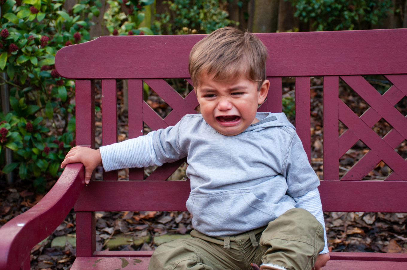 iStock-904487778.jpg