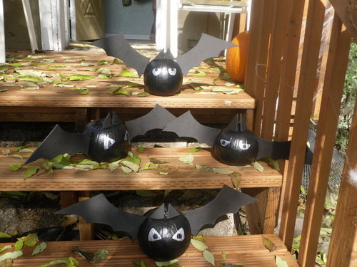 img-of-media-slide-100392.jpg