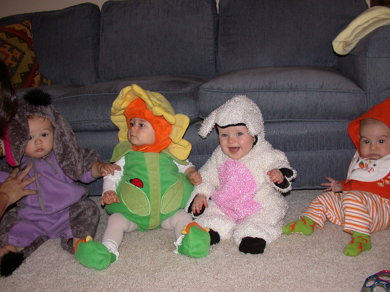 img-of-media-slide-103628.jpg