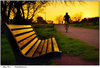 img-of-media-slide-109035.jpg