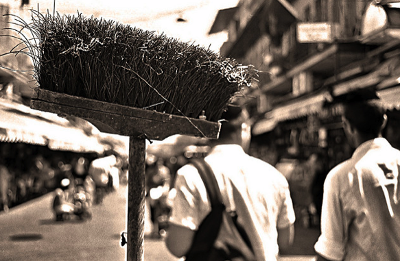 img-of-media-slide-111927.png