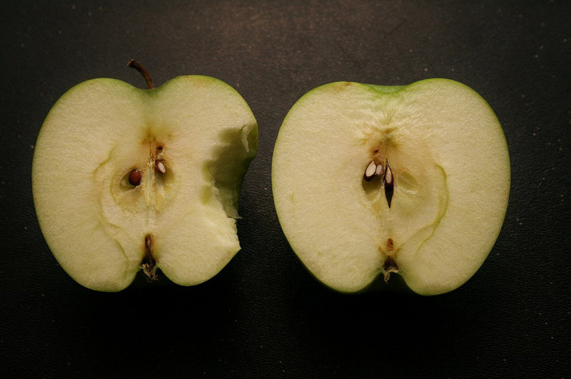 img-of-media-slide-116129.jpg