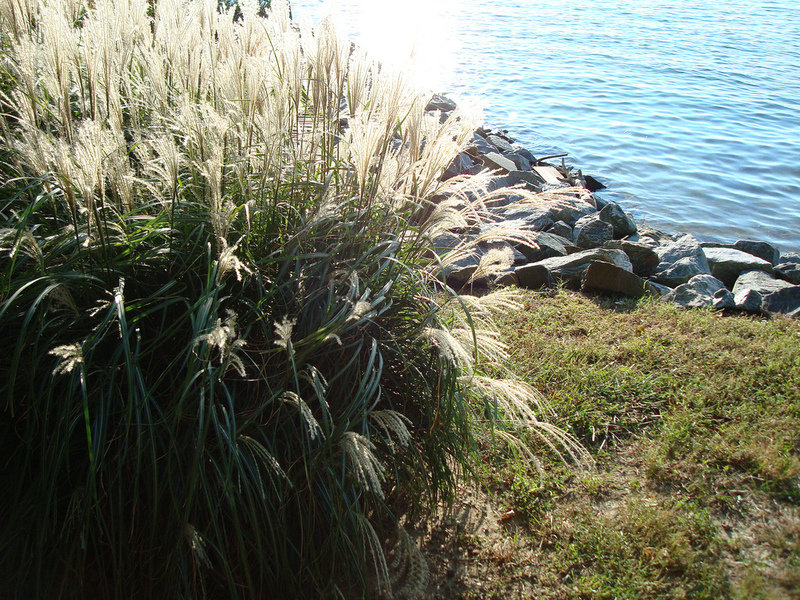 img-of-media-slide-116782.jpg