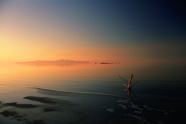 img-of-media-slide-117365.jpg