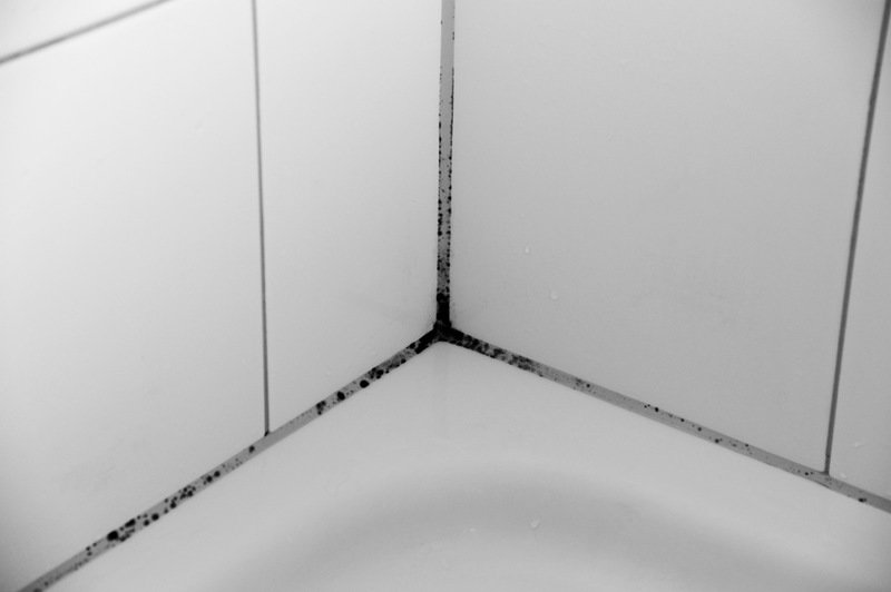 img-of-media-slide-123381.jpg
