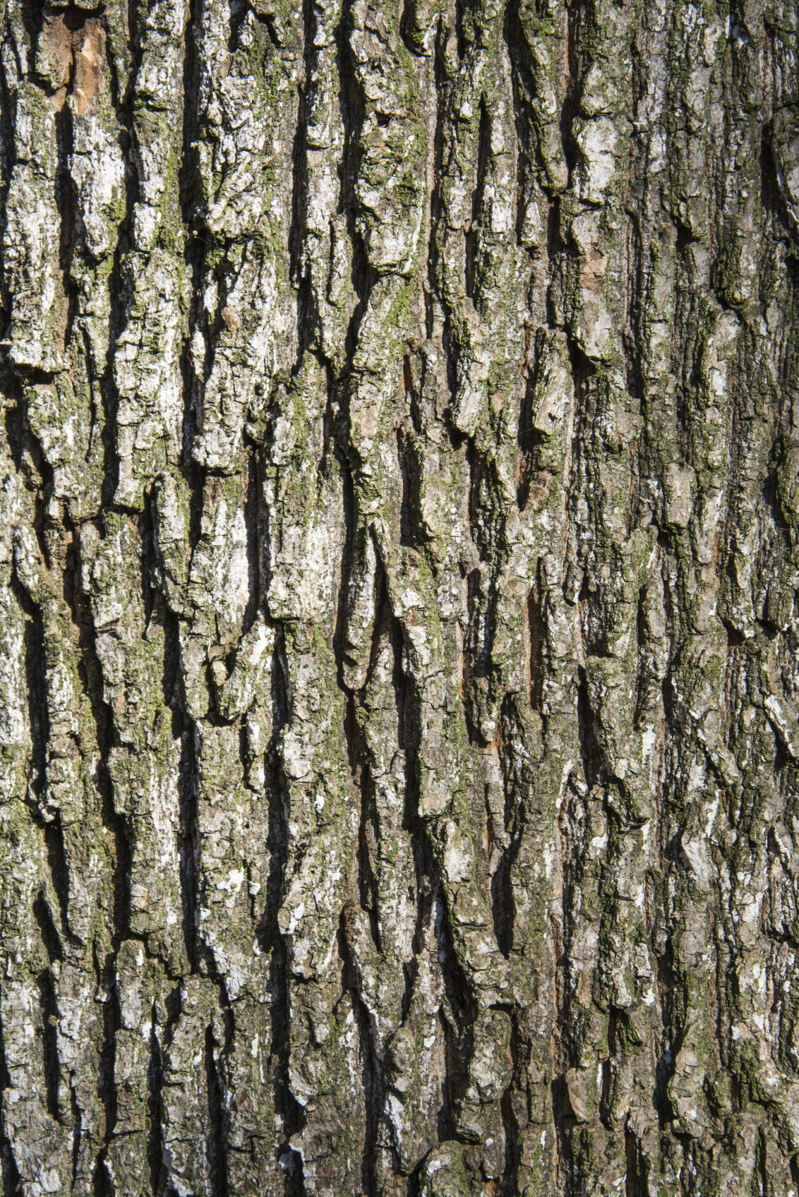 img-of-media-slide-150063.jpg