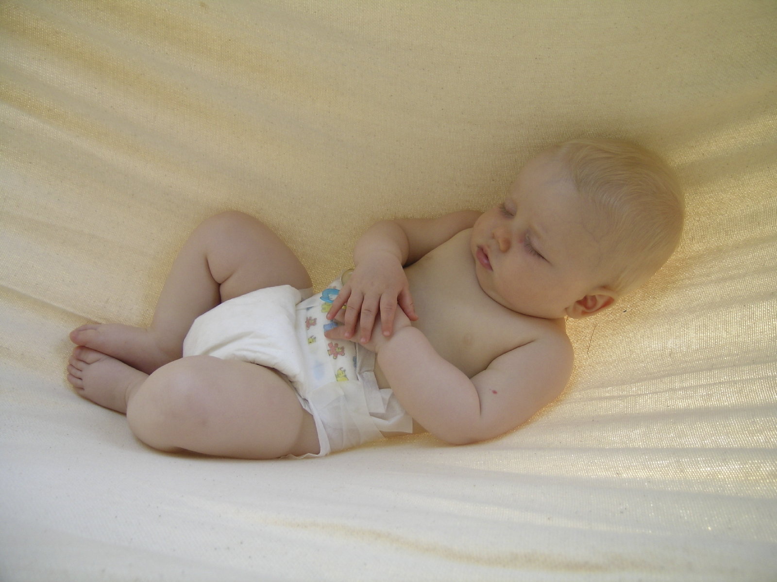 img-of-media-slide-154720.jpg