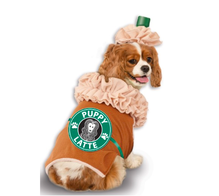 14 Dog Costumes That Will Make You Wish It Were Halloween All Year Long - 29