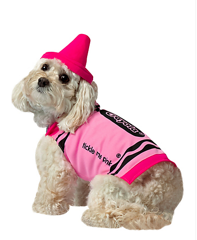 14 Dog Costumes That Will Make You Wish It Were Halloween All Year Long - 38