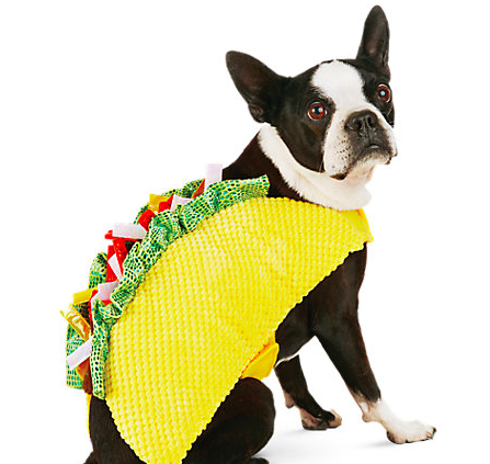 14 Dog Costumes That Will Make You Wish It Were Halloween All Year Long - 79