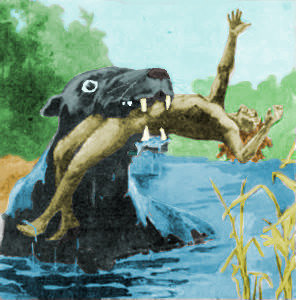 img-of-media-slide-196825.jpg