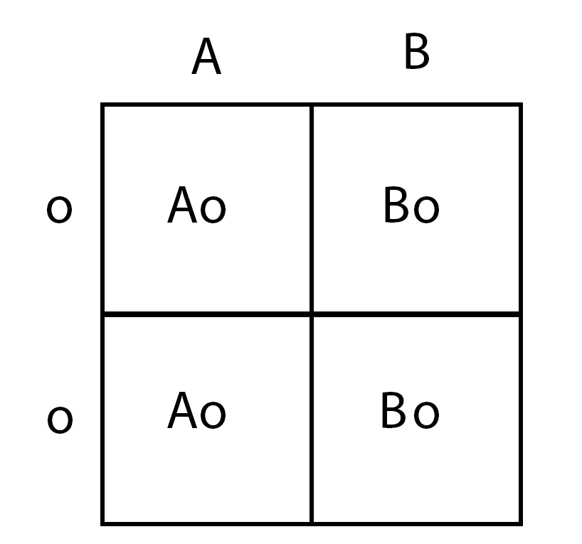 img-of-media-slide-219836.png