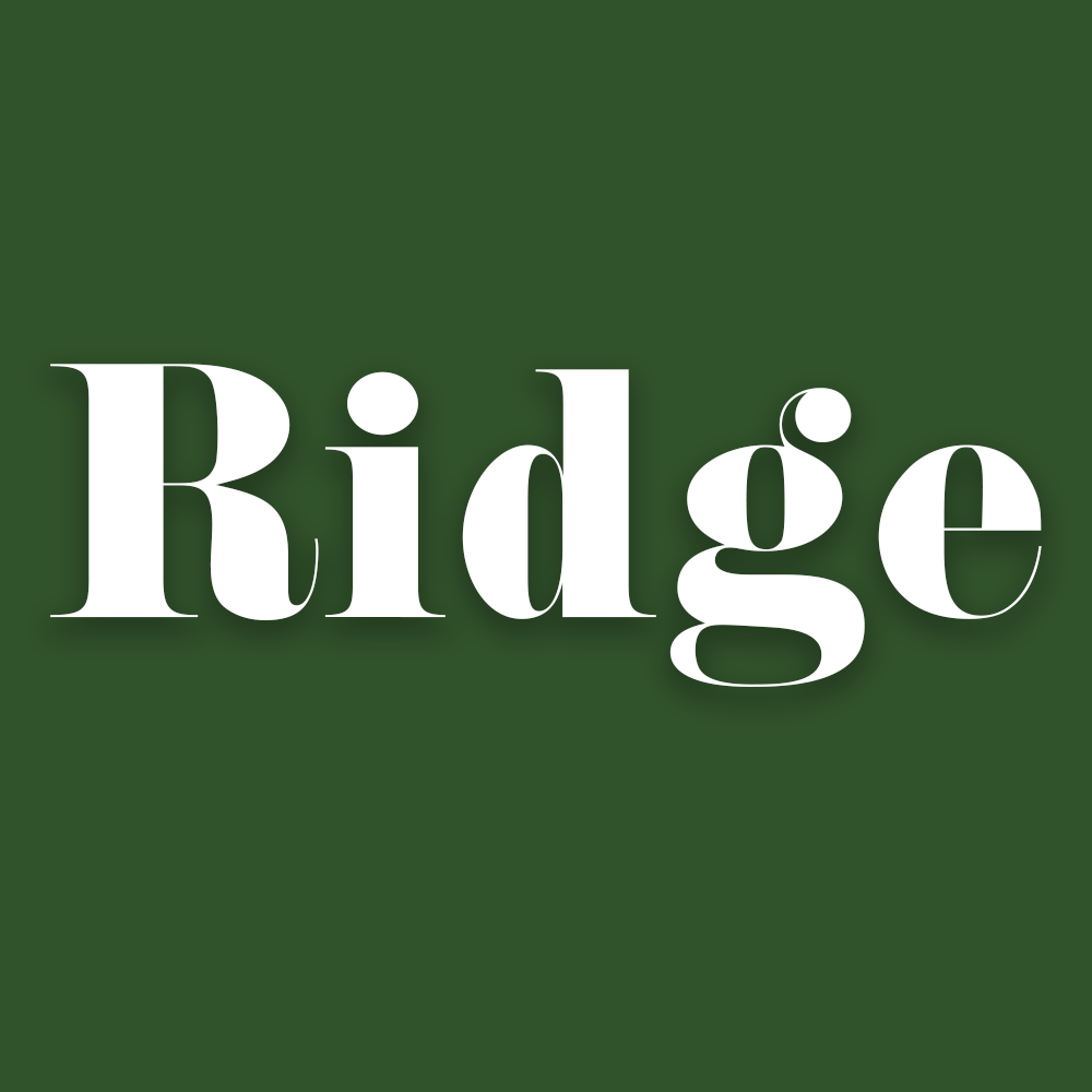 img-of-media-slide-233412.png