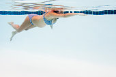 img-of-media-slide-243564-1.jpg