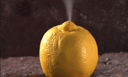 img-of-media-slide-rv-12672-82030.gif