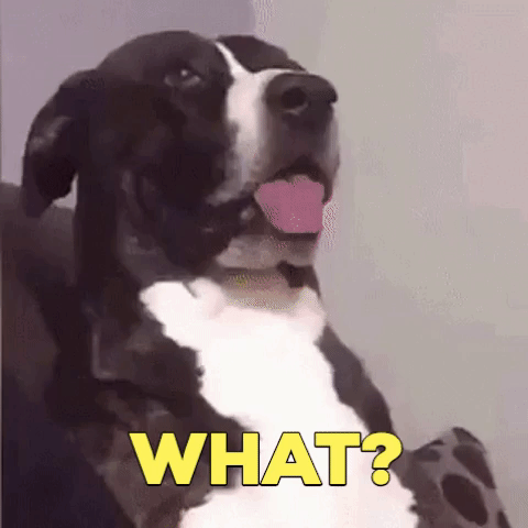 img-of-media-slide-rv-13340-87965.gif