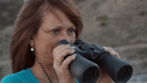 img-of-media-slide-rv-13544-89724.gif
