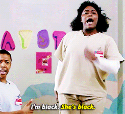 img-of-media-slide-rv-1410-5892.gif