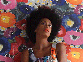 img-of-media-slide-rv-14737-100409.gif