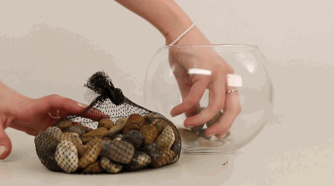 img-of-media-slide-rv-1483-6207.gif img-of-media-slide-rv-1483-6207.gif