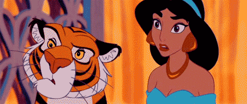 img-of-media-slide-rv-14911-102494.gif