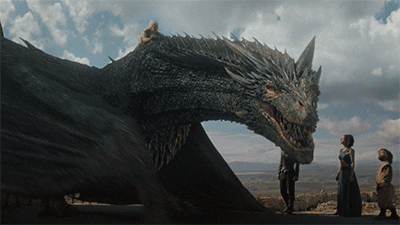img-of-media-slide-rv-15074-103668.gif