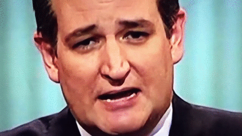 img-of-media-slide-rv-1658-6987.gif