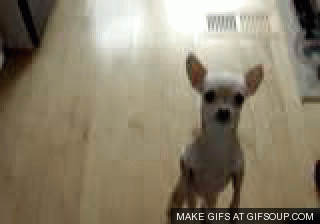 img-of-media-slide-rv-2212-9125.gif