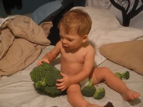img-of-media-slide-rv-2218-9150.gif