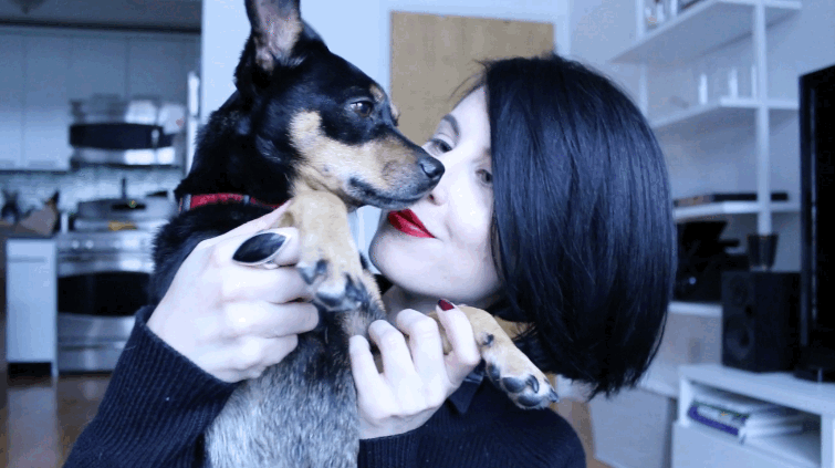 img-of-media-slide-rv-374-1646.gif