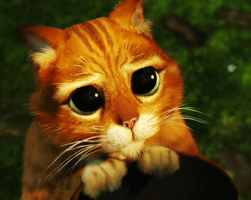 img-of-media-slide-rv-4367-18567.gif