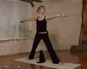 img-of-media-slide-rv-5023-22776.gif img-of-media-slide-rv-5023-22776.gif