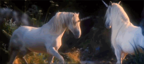 img-of-media-slide-rv-9851-59041.gif