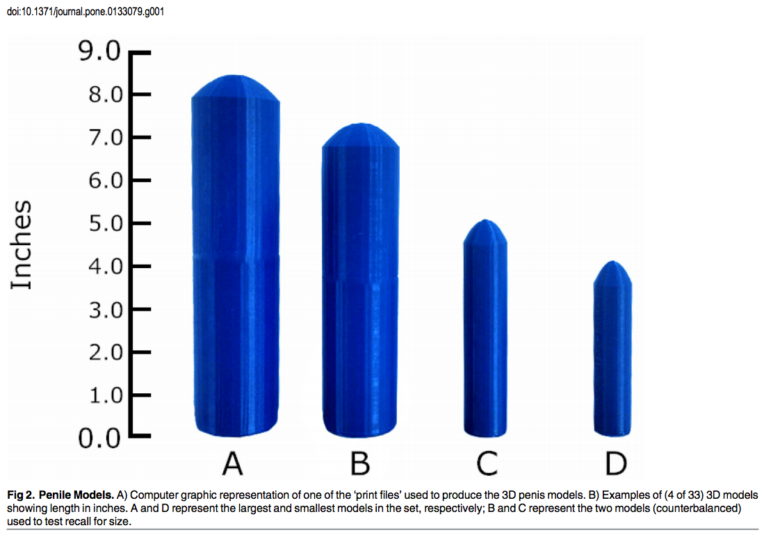What size penis do women prefer 