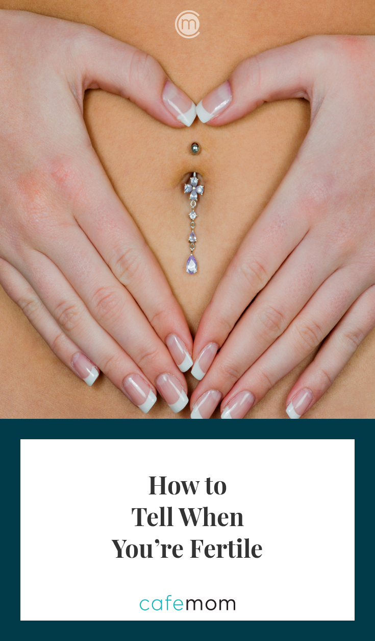 conception guide