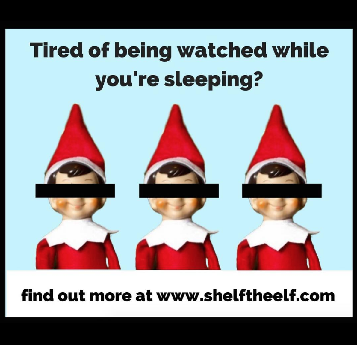 shelf the elf reindeer in here