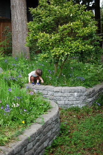 garden on vashon island